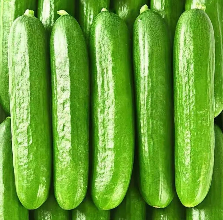 小黄瓜 Small Cucumber 500g