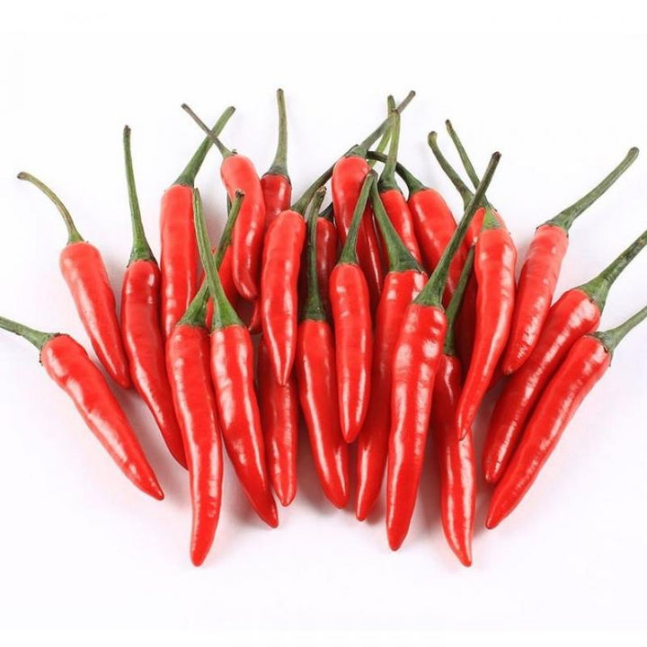 泰国小米辣 Thai red Chilli 100g