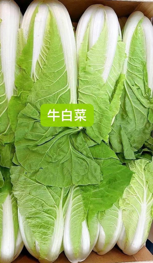 牛白菜 500g