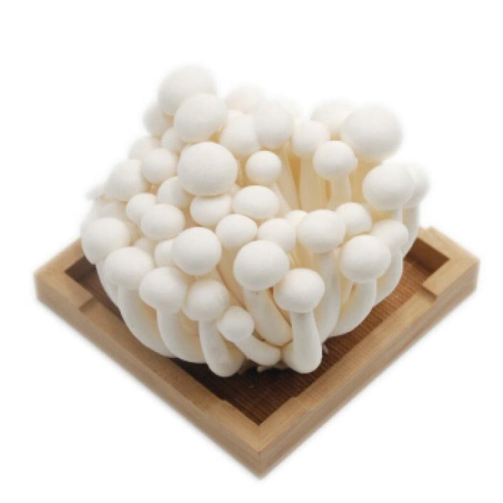 白玉菇 white shiemeji mushroom 150g