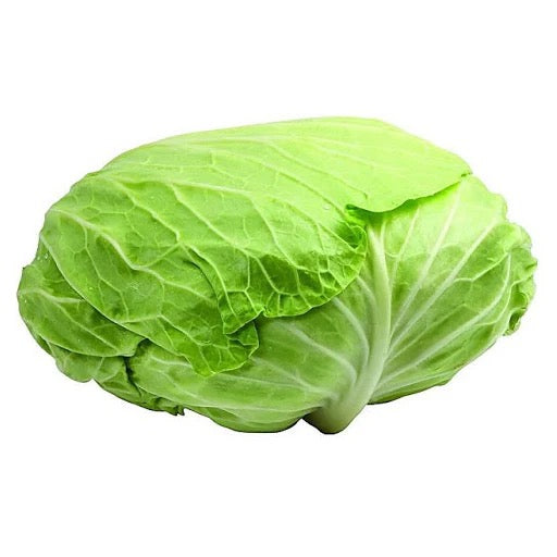 圆包菜 Cabbage 1 个