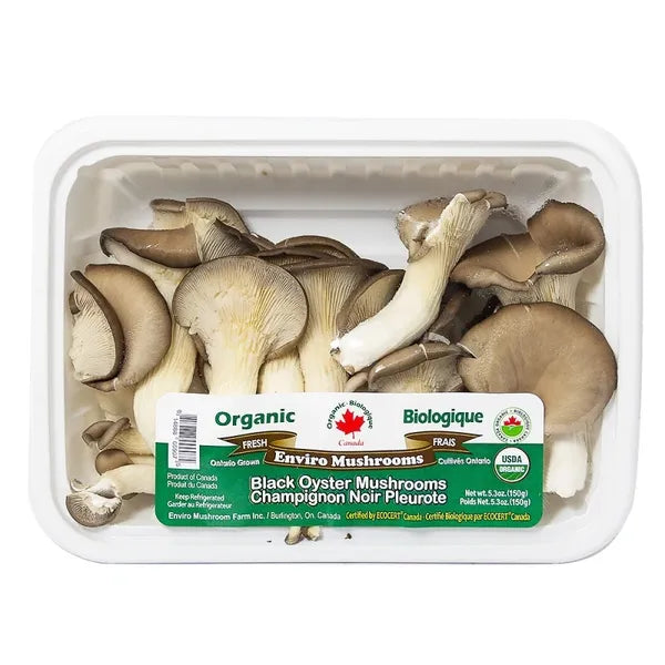 平菇/蚝菇 oyster mushroom