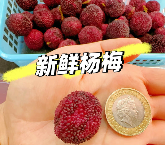 新鲜杨梅
