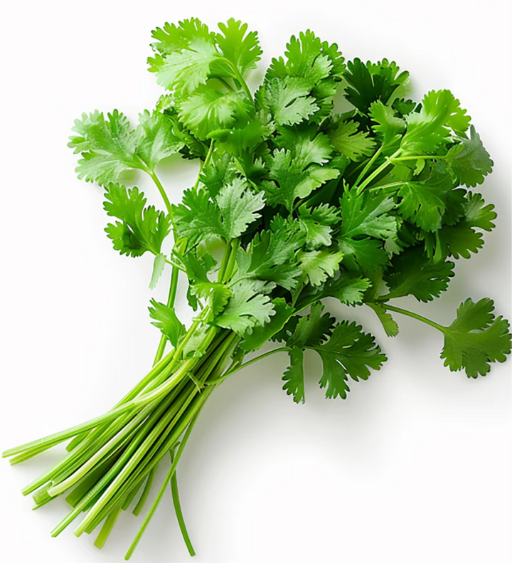 香菜 Coriander