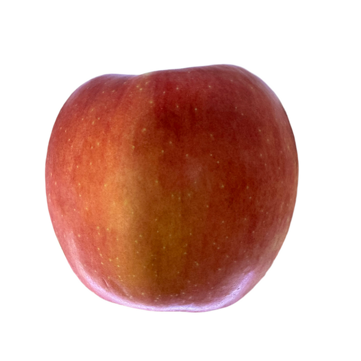 超大颗糖心苹果 1颗 Super Big Sweet Apple 1Piece