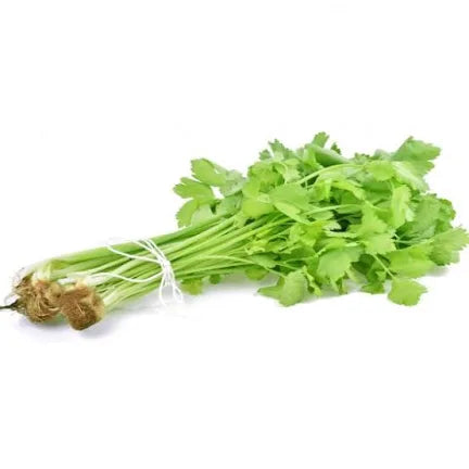 中国芹菜 Chinese Celery 500g