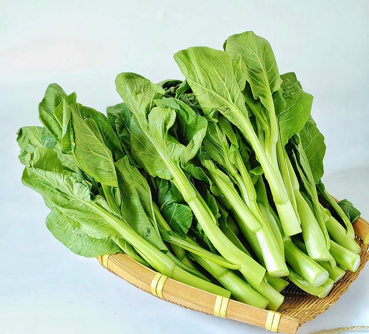 新菜心 Choy Sam