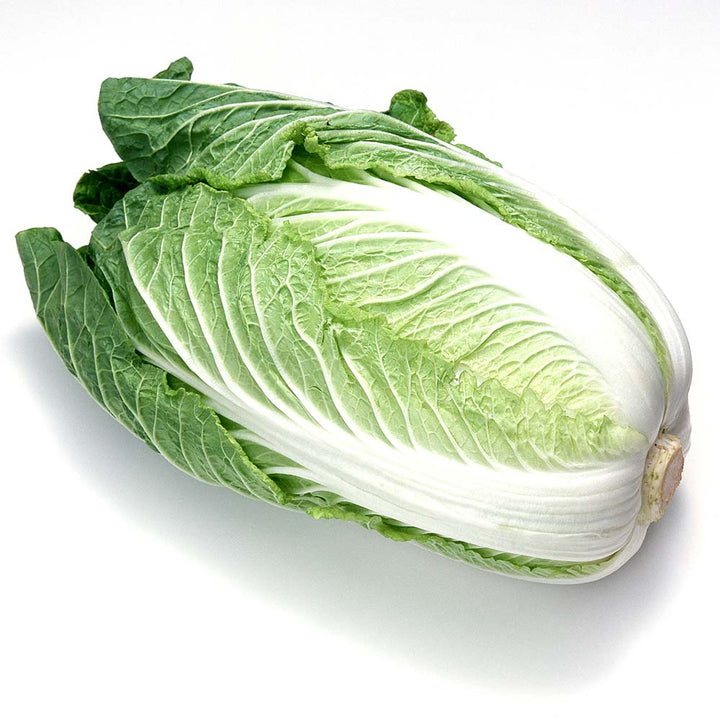 大白菜 Chinese Cabbage