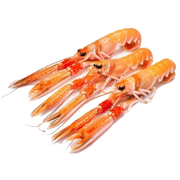 鳌虾 1kg