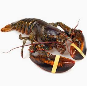 加拿大龙虾  Lobster £58/kg